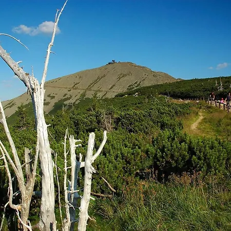 Konukevi Orion *