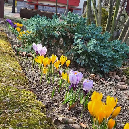 Gasthuis Orion Karpacz