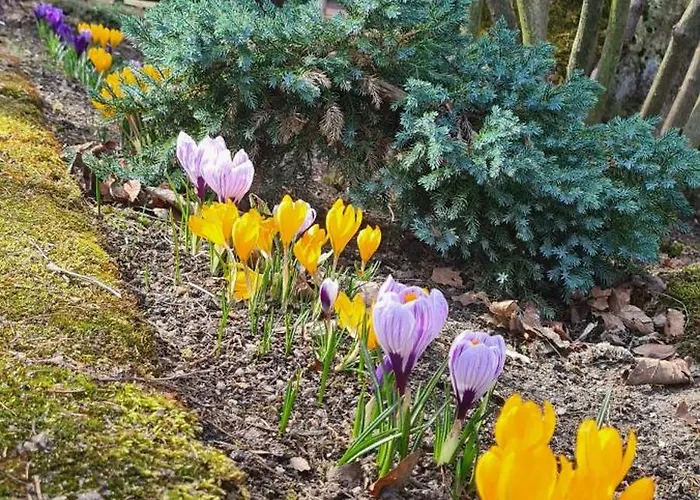 Gasthuis Orion Karpacz